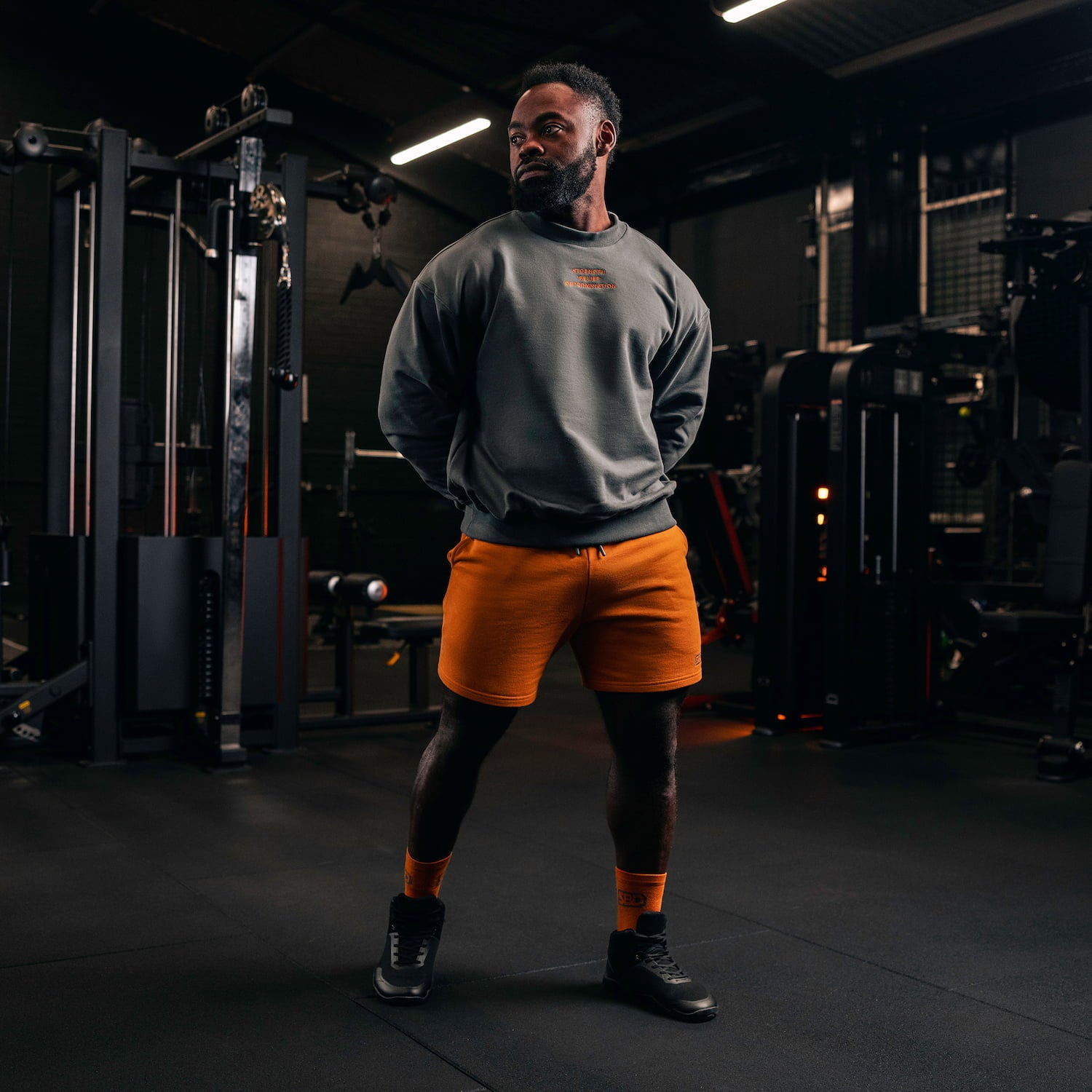 SBD Sweatshirt (Limitierte Forge Edition)