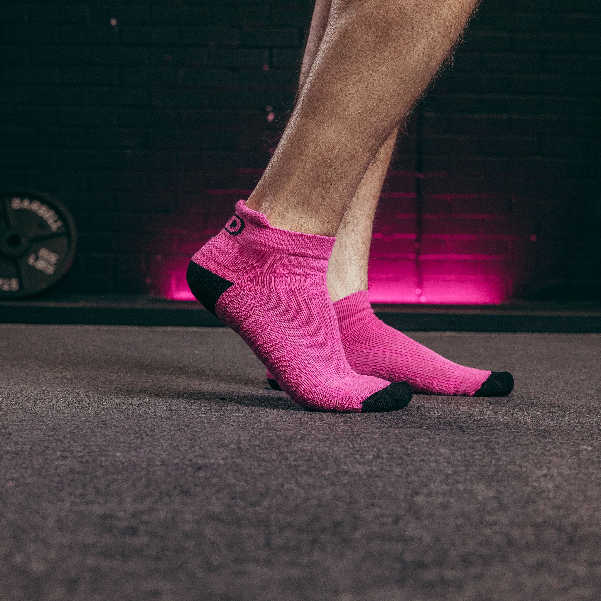 SBD Trainer Socken (Limitierte Nova Edition)