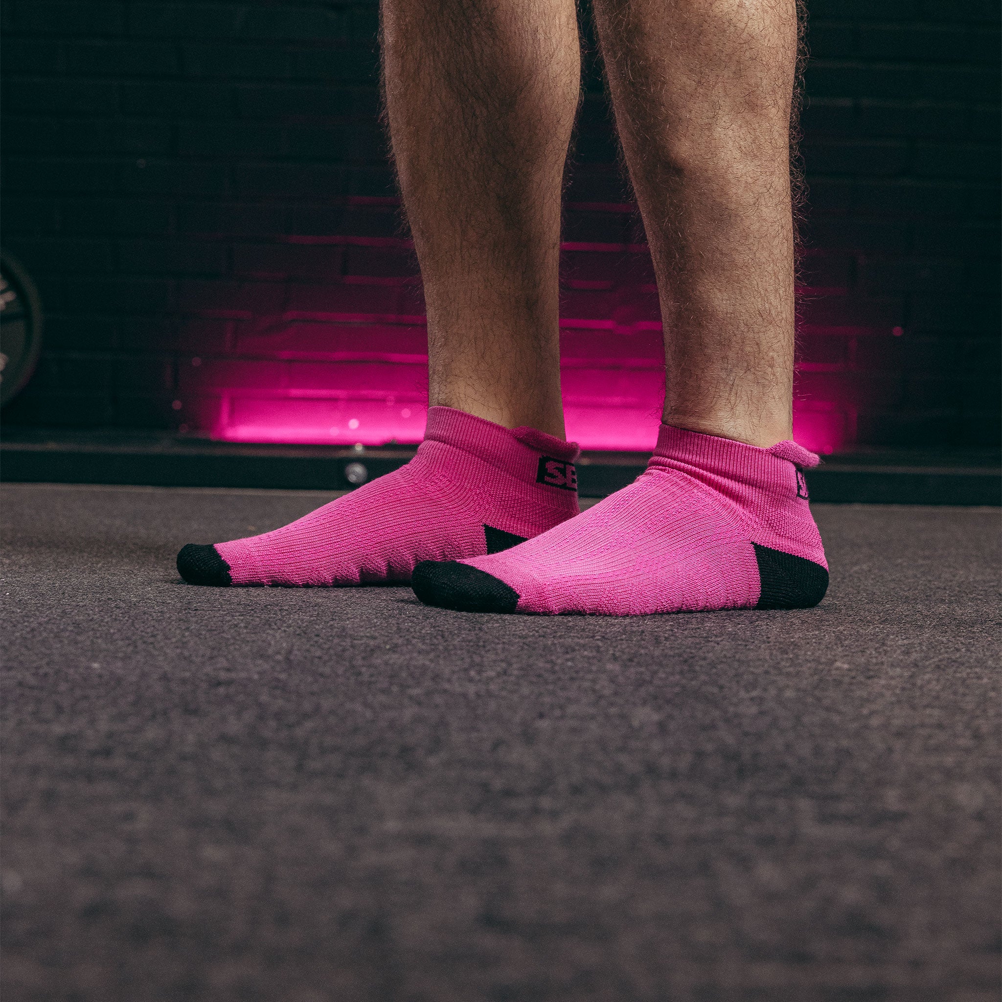 SBD Trainer Socken (Limitierte Nova Edition)