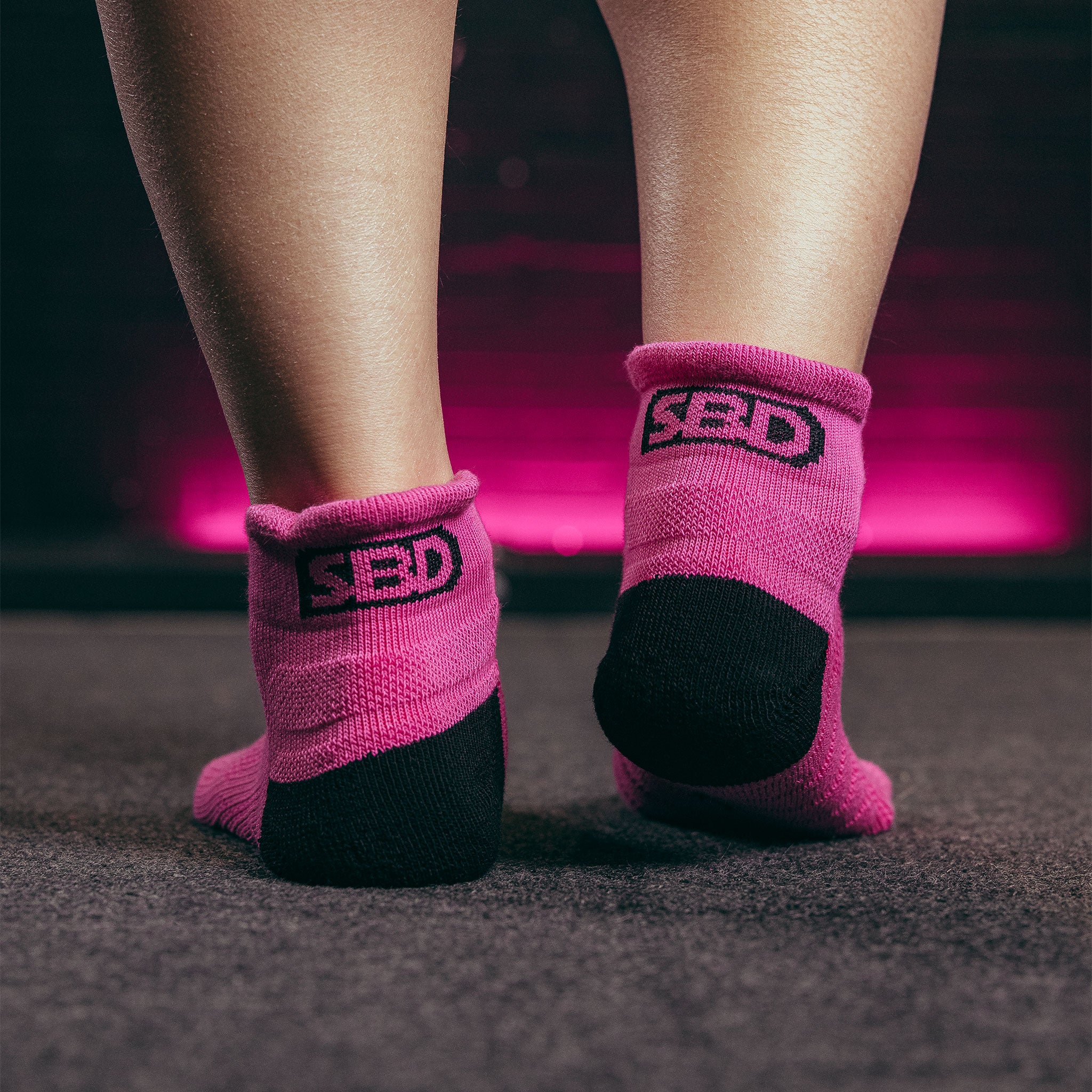 SBD Trainer Socken (Limitierte Nova Edition)